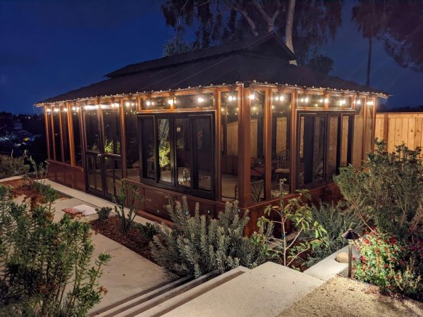 PXL_20220731_033034177.NIGHT